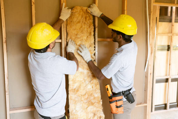 Best Insulation Replacement Services  in Belle Isle, FL