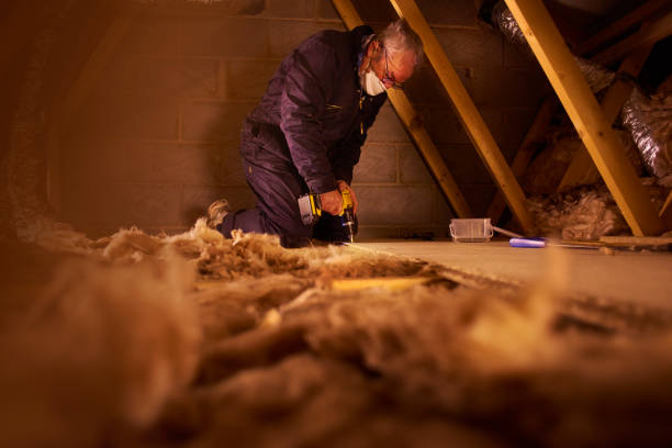 Attic Insulation Near Me in Belle Isle, FL